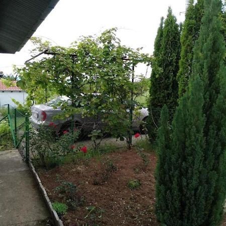 Cozy House Cvetkovic Nis Exterior foto